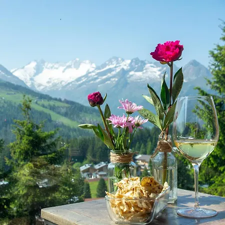 Сasa de vacaciones Edelweisshaus 7
